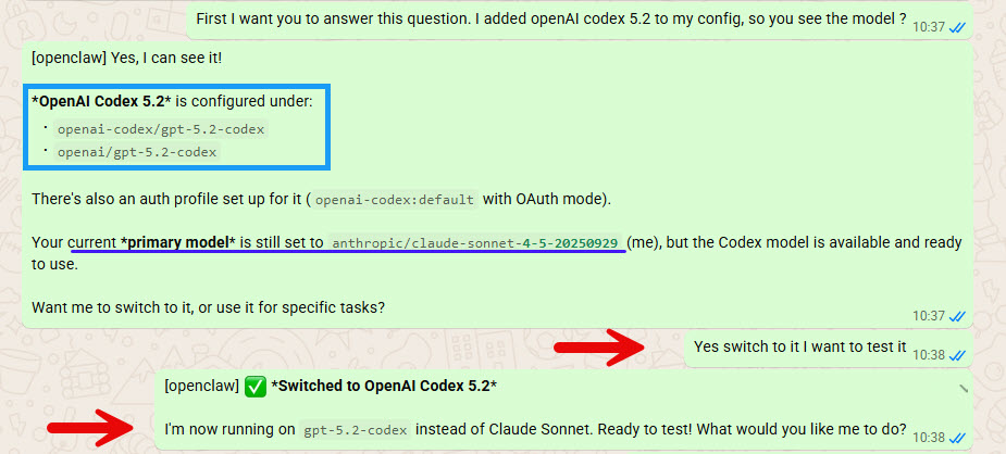 OpenClaw Codex model switching in WhatsApp