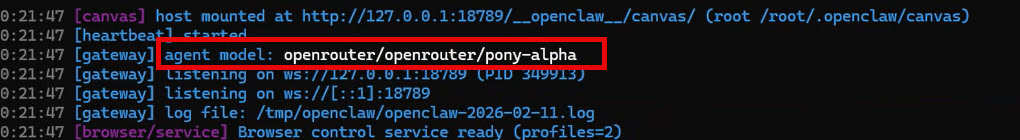 Logs showing pony-alpha