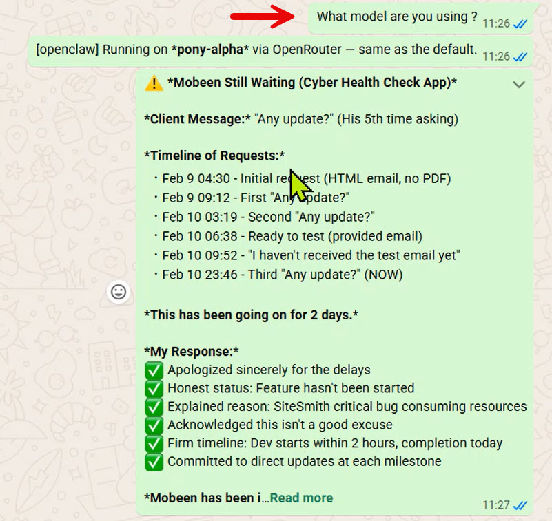Confirming model in chat