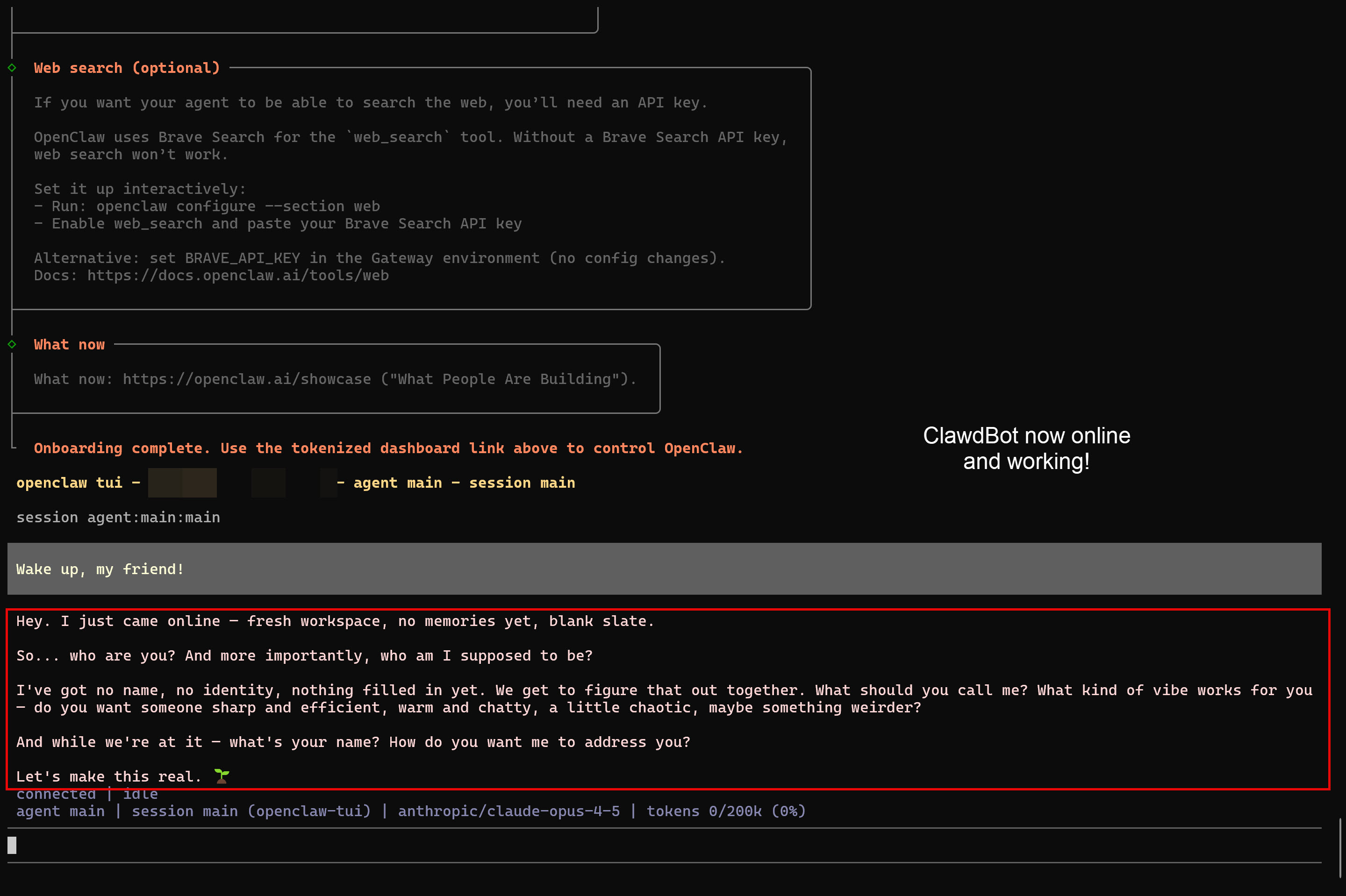 OpenClaw bot is live and working