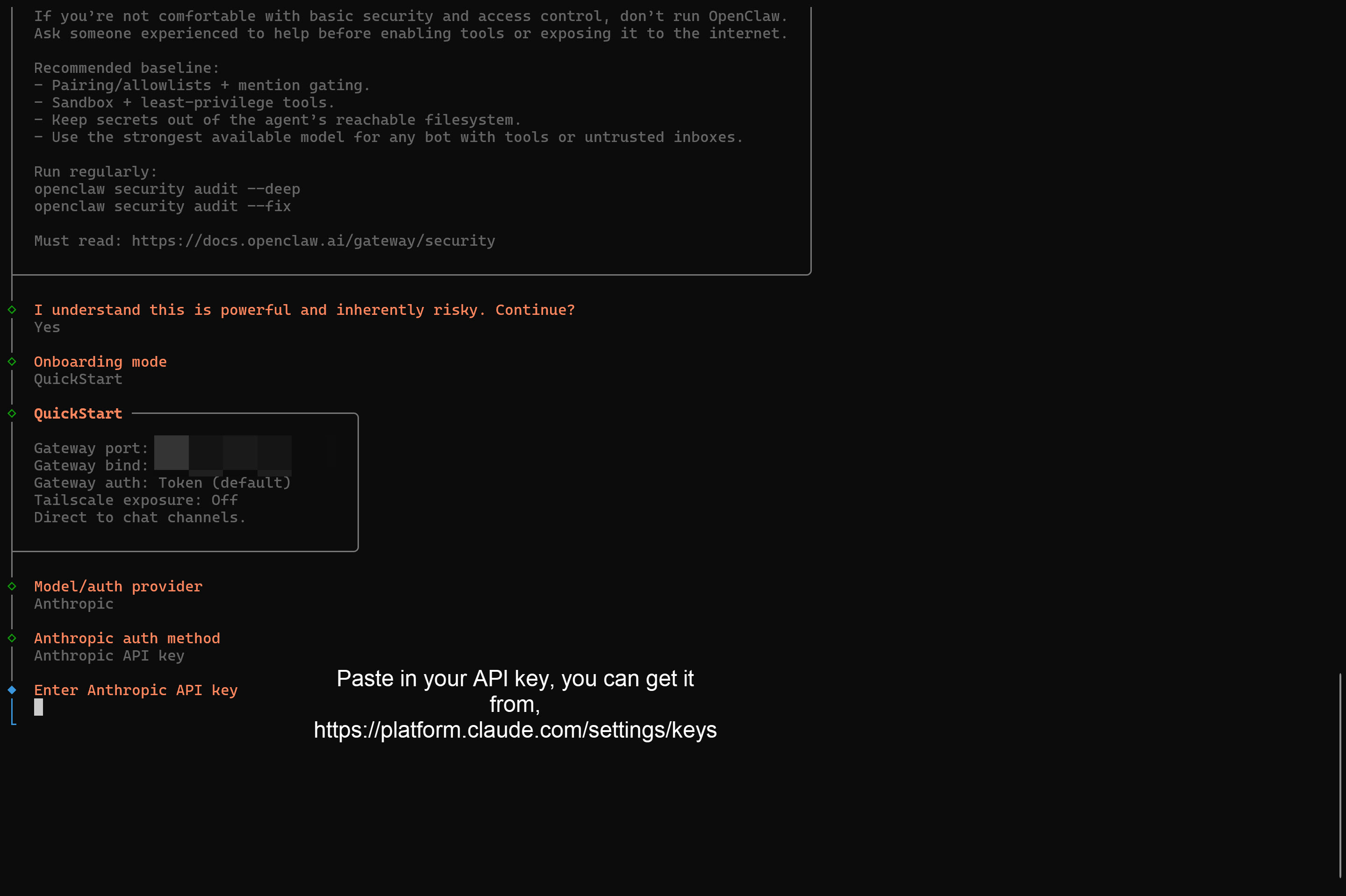 Paste Anthropic API key